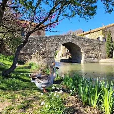 Au Canalet - * Le Somail