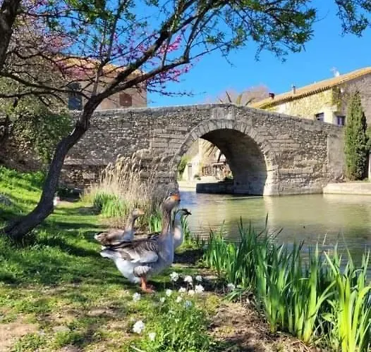 Au Canalet - * Le Somail